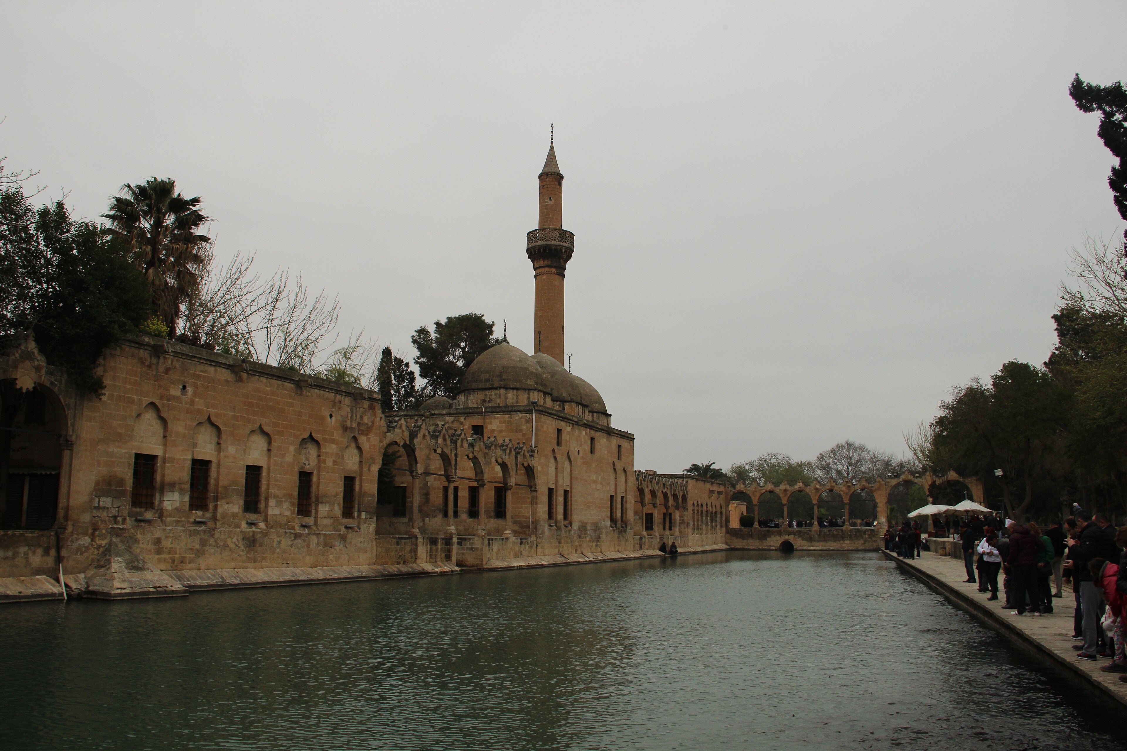 Balıklıgöl, le bassin d’Abraham à Şanlıurfa