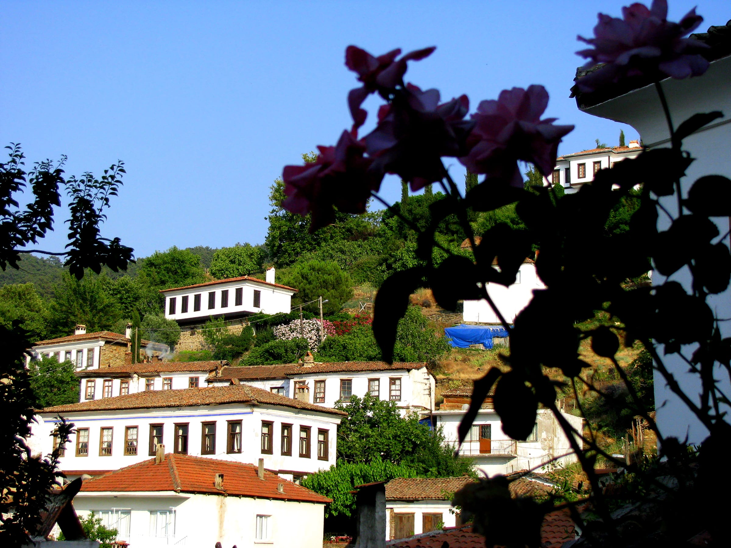 Houses of Şirince